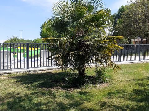 Camping Le Convivial - Camping Dordogne - Afbeelding N°5